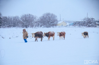 Наблюдение доходов и участия в соцпрограммах многодетных семей проведут в Якутии / ЯСИА   Республика Саха (Якутия)