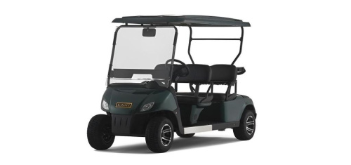 Гольфкар EWAY HM4