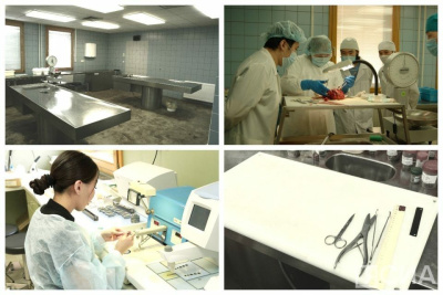 Вскрытие покажет: патологоанатомы рассказали о необычных случаях из практики и тонкостях профессии / Саина Титова   