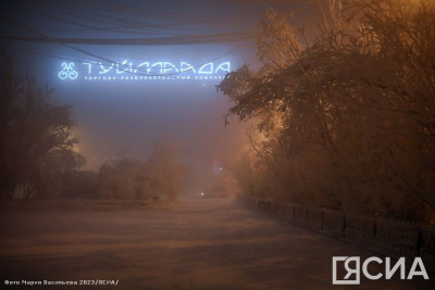 Пока в Якутии была ночь: запрет VPN-сервисов, болезнь короля Великобритании, эпидемия в Бразилии / ЯСИА   Республика Саха (Якутия)