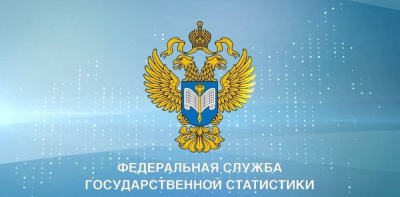 Росстат проводит выборочные статистические наблюдения за деятельностью субъектов малого предпринимательства /    