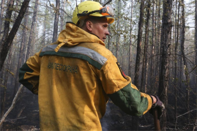 31 июля: огнеборцы справились с лесными пожарами /    