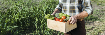 Роскачество разрабатывает ГОСТ на фермерскую продукцию /    