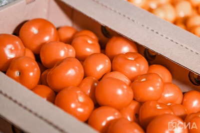 На AI Journey представили видеоаналитику для повышения урожайности тепличных овощей / ЯСИА   