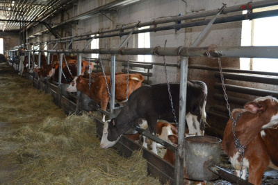 Якокитский агропром /  Алдан Алданский 