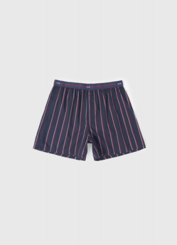 Трусы в полоску, Синий