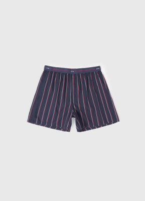 Трусы в полоску, Синий