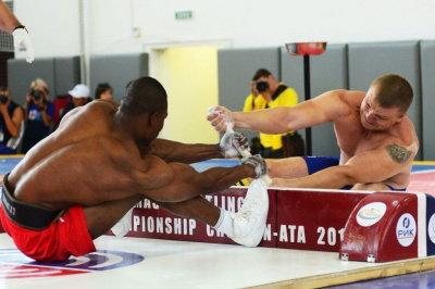 Календарь спортивных мероприятий МФМ на 2017 год /    