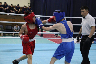 В Якутске дан старт первенству республики по боксу памяти Виктора Ефремова / Дьулустаан Сергеев Якутск Якутск Республика Саха (Якутия)