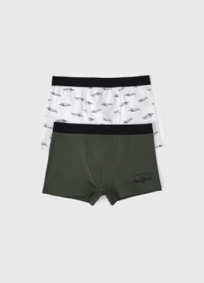 Трусы-боксеры с принтом для мальчиков, 2 шт., Белый