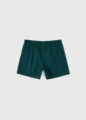 Трусы-боксеры с принтом, Зеленый