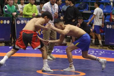 Более 40 видов спорта и народных игр вошли в программу Всемирных игр кочевников в Кыргызстане / ЯСИА   