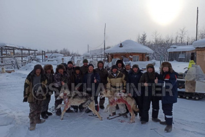 В Томпонском районе ликвидировали стаю волков, нападавшую на табуны лошадей / ЯСИА   