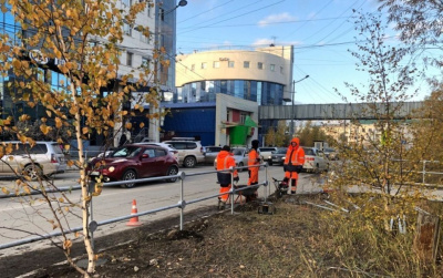 В Якутске обезопасят «зебры» вблизи школ / Аркадий Васильев Якутск Якутск Республика Саха (Якутия)