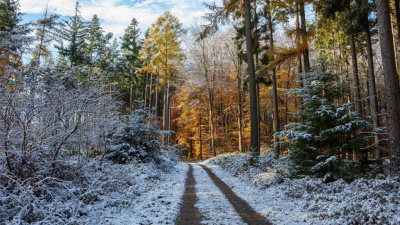 В Якутии в выходные выпадет небольшой снег / Санаайа Иванова   Республика Саха (Якутия)