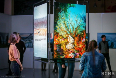 «Первозданная Россия» прямиком из Москвы. В Якутске открылась выставка фотографов дикой природы / Ольга Старостина Якутск Якутск Республика Саха (Якутия)