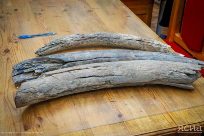 Возрождая прошлое. Якутский мастер изготовит вторую часть экспоната «Ысыах» для Британского музея / Иван Евсеев   Республика Саха (Якутия)