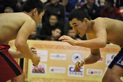 Более 250 хапсагаистов борются на турнире братьев Ноговицыных / Дьулустаан Сергеев   