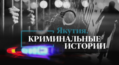 Криминальные истории. Насмотревшиеся фильмов подростки, воры-канатчики и грабители наркоторговцев / Николай Борисов   