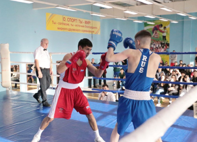 Сильнейшие в первенстве Мирнинского района по боксу /    