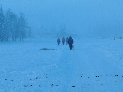 В Сунтарском районе Якутии нашли пропавшего 15-летнего подростка / Алексей Рудых   