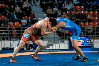 Якутские борцы в следующем году смогут сразиться за путевки на Олимпиаду в Токио / Дьулустаан Сергеев   Республика Саха (Якутия)