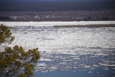 Экологи Якутии поддержали инициативу главы республики об общественном экологическом мониторинге / ЯСИА   Республика Саха (Якутия)