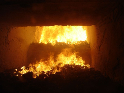 Госдума приняла закон о сжигании мусора / ЯСИА   