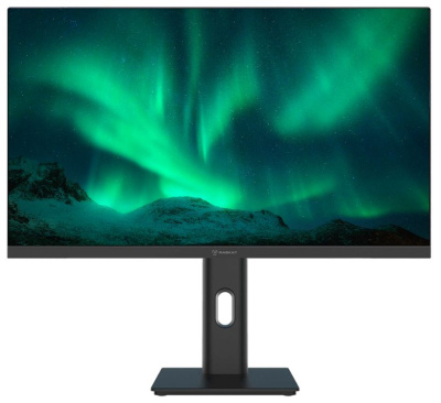 Монитор 23,8" Raskat I24F10DAP TFT IPS, 1920х1080, 100Hz, 5ms, 250 cd/m2, 1000:1, 178°/178°, VGA, HDMI, DP, Pivot, black