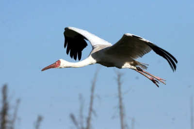 Правительство России создало национальный парк «Кыталык» в Якутии / ЯСИА   Республика Саха (Якутия)