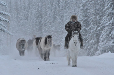 ФОТО: Сельские зарисовки / ЯСИА   