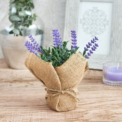 Цветок Uria II