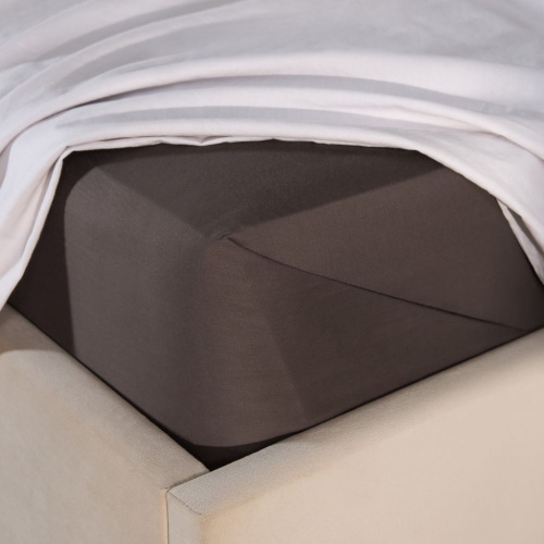 Простыня Кофе