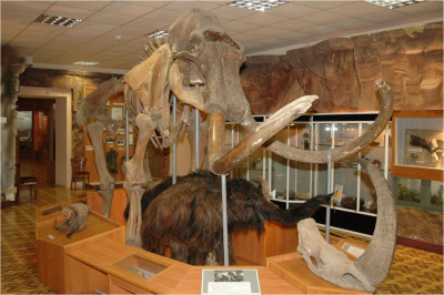 Сколько музеев в Якутии / ЯСИА   Республика Саха (Якутия)