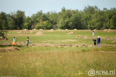 Хангаласский улус поможет в сенокосной кампании другим районам /   Хангаласский Республика Саха (Якутия)