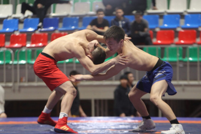 В Намском районе Якутии состоится турнир «Энсиэли хапсагайа» / Дьулустаан Сергеев   