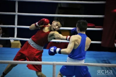 В селе Бердигестях Горного района пройдет первенство по боксу среди юниоров / Иван Неустроев   