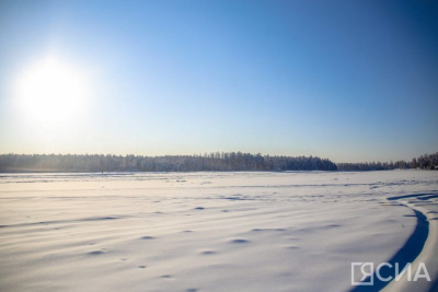 В арктических районах Якутии численность овцебыков выросла до 6500 особей / ЯСИА   