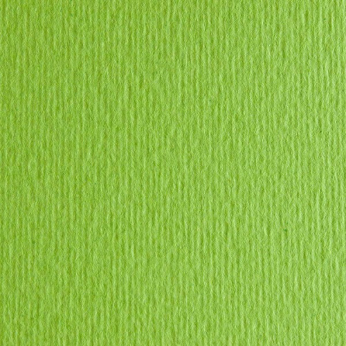 Бумага для пастели Fabriano "Cartacrea" 21x29,7 см 220 г, зеленый горох