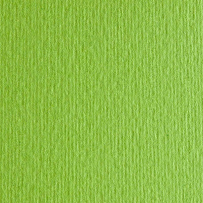 Бумага для пастели Fabriano "Cartacrea" 21x29,7 см 220 г, зеленый горох