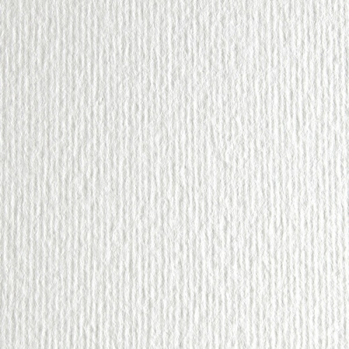 Бумага для пастели Fabriano "Cartacrea" 21x29,7 см 220 г, белый