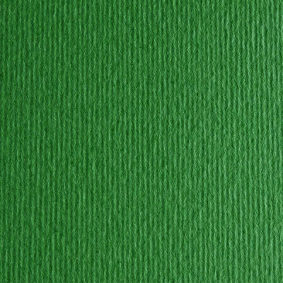 Бумага для пастели Fabriano "Cartacrea" 21x29,7 см 220 г, травяной