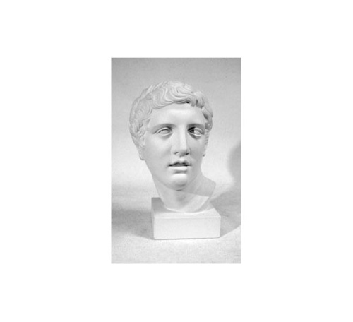 Гипс Голова Дискобола "Черная речка"