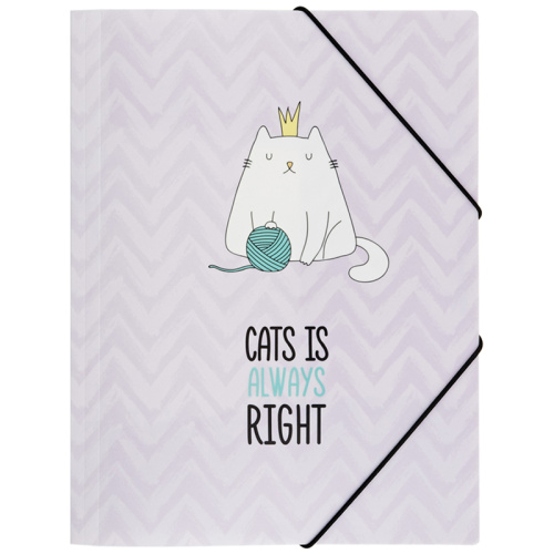 Папка на резинке MESHU "Right cat" А4, 500 мкм