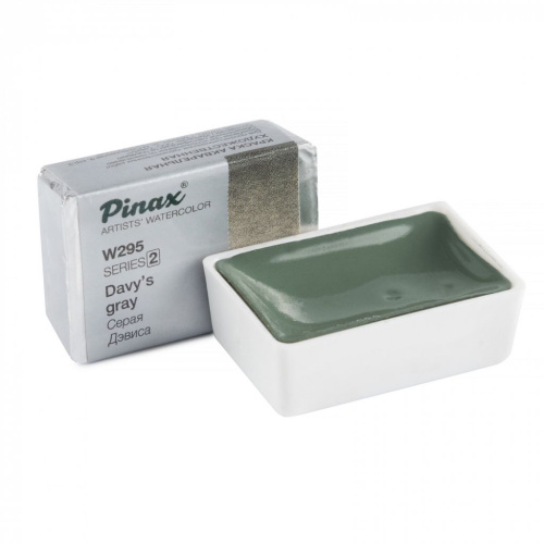 Акварель Pinax кювета 2,5 мл W295 Серая Дэвиса