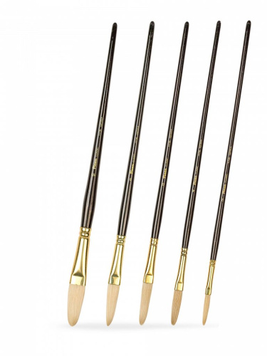 Набор кистей щетина Pinax "ARTISTS CLASSIC" овальные экстра-длинные 5 шт