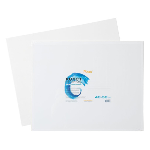 Холст акварельный на картоне Pinax 40x50 см
