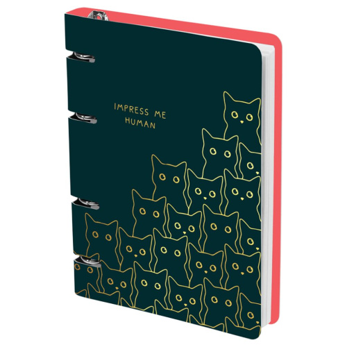 Тетрадь на кольцах MESHU "Amazing cats" А5 100 л, картон, матовая ламинация, выборочный УФ-лак