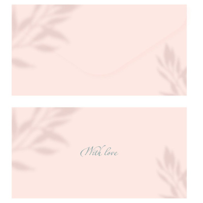 Конверт для денег MESHU "Peach", 85*164 мм, soft-touch, фольга