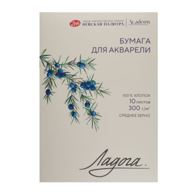 Папка с бумагой для акварели "Ладога" 10 л 300 г, 100% хлопок, среднее зерно